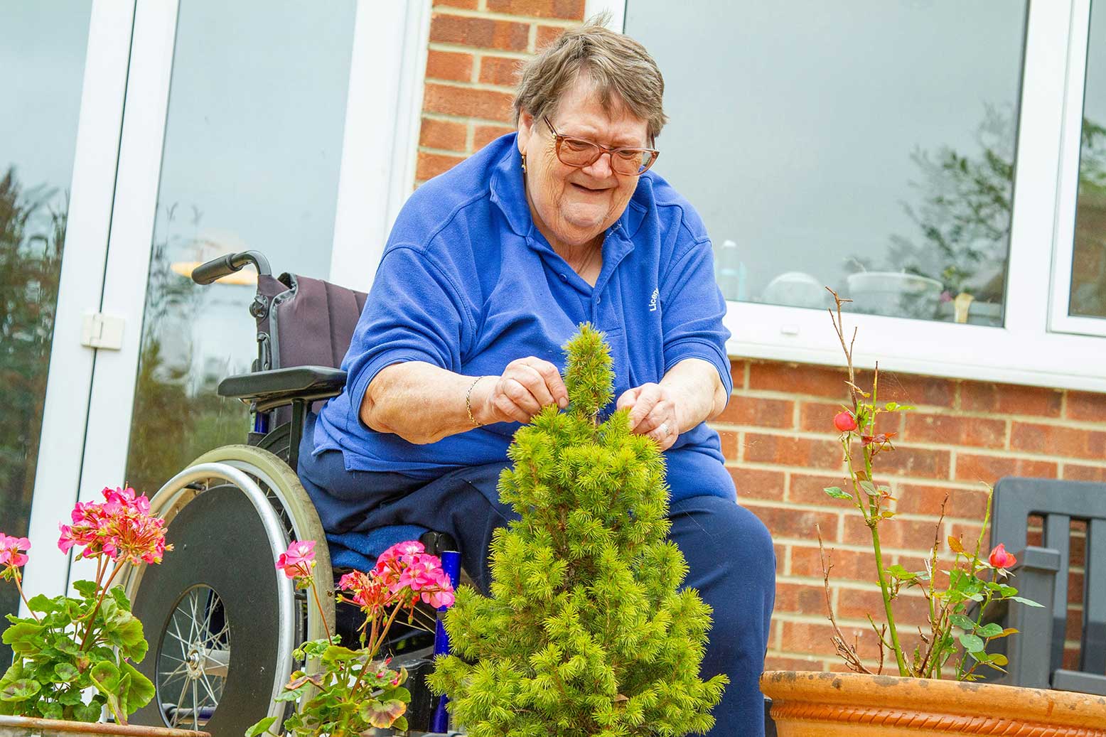 Older woman in a wheelchair smiling while tending to a small potted evergreen shrub outside a brick home